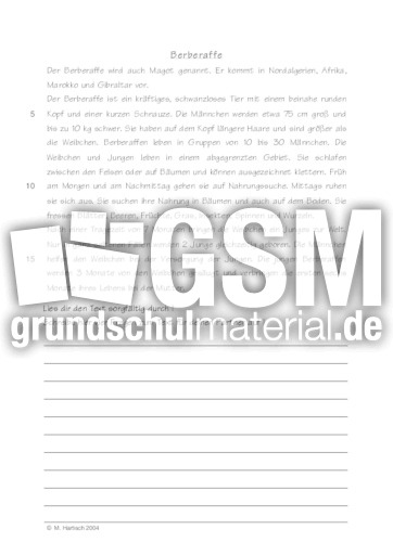 Berberaffe.pdf